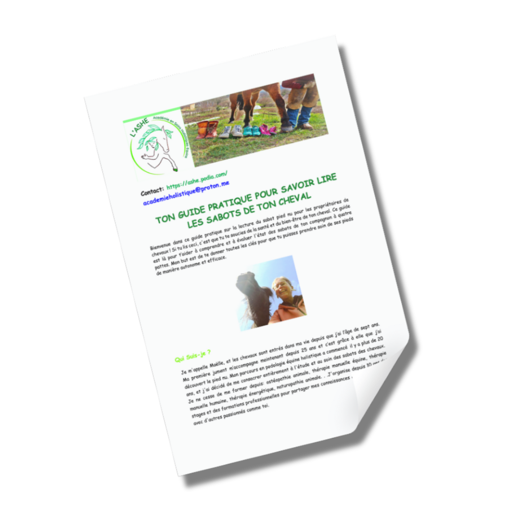 Guide pour apprendre à lire les pieds de ton cheval