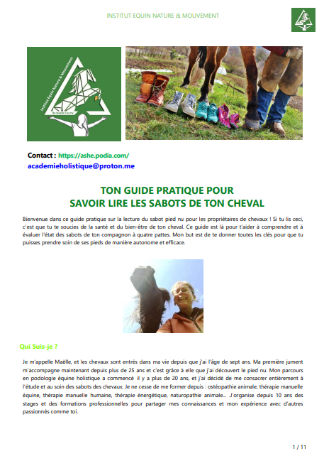 Guide pour apprendre à lire les pieds de ton cheval