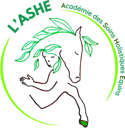 Logo de l'ASHE