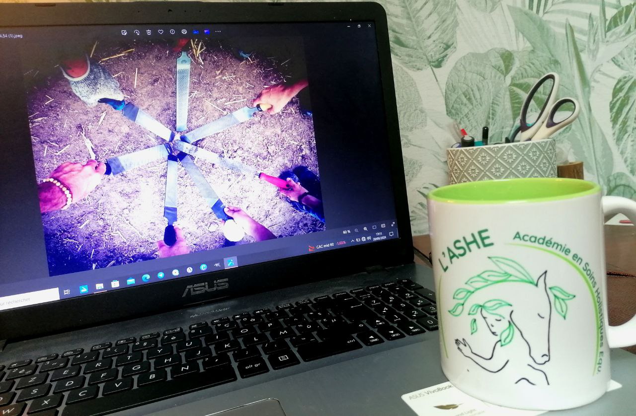 Accompagnement par les experts de l'ASHE