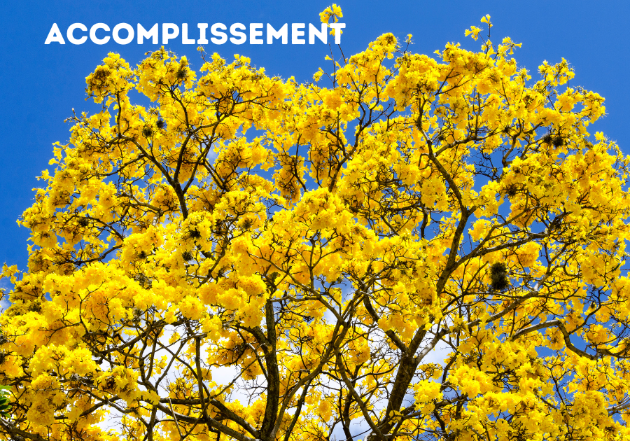 Option accomplissement